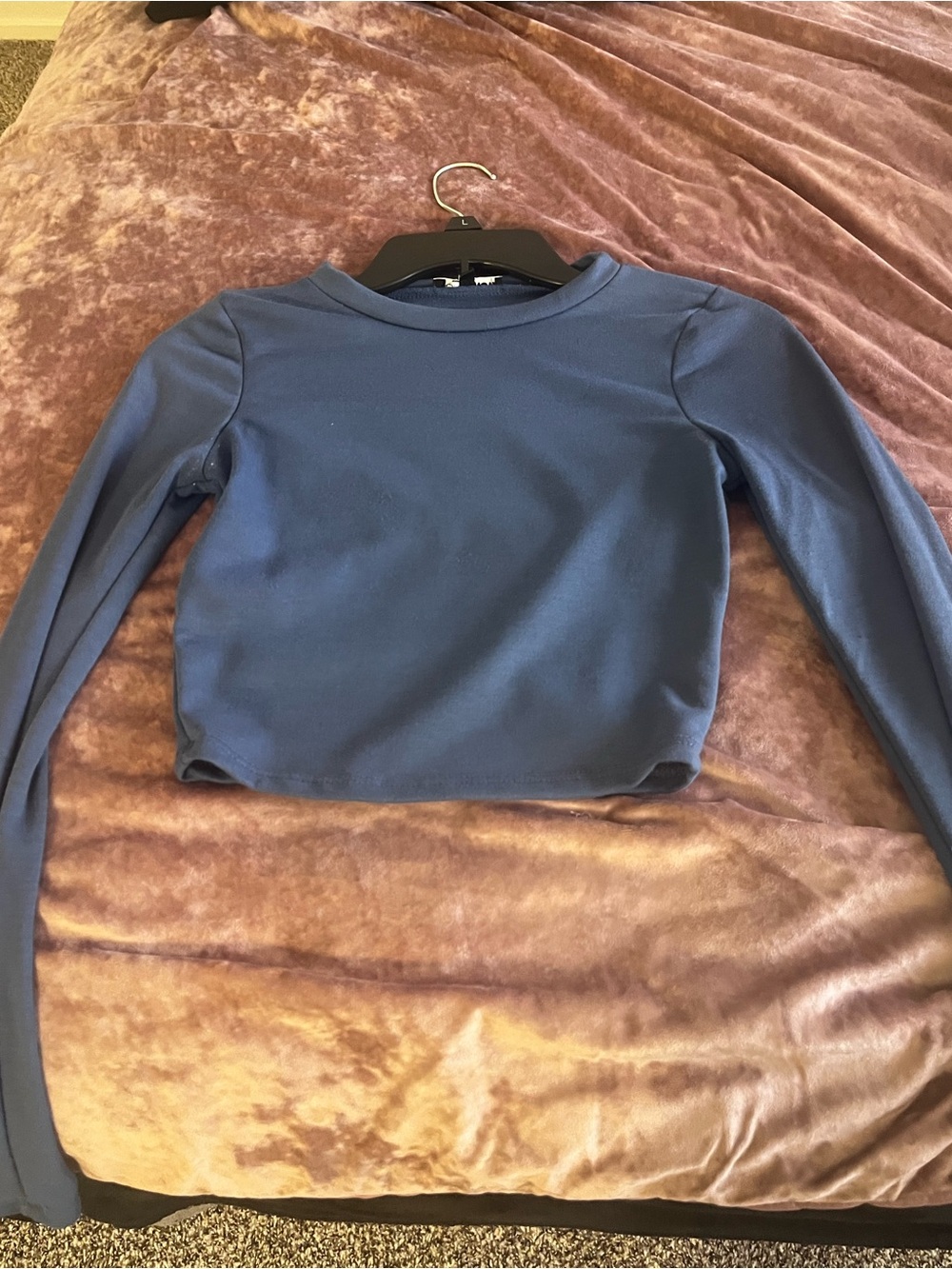 Classic Crewneck Long-Sleeve Crop Top - Blue